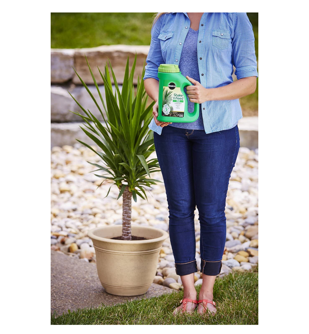 miracle-gro shake 'n feed palm plant food Miracle-Gro Shake 'N Feed Palm Plant Food