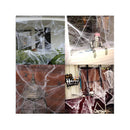 900 sqft Spider Webs Halloween Decorations Bonus with 30 Fake Spiders | Super Stretch Cobwebs for Halloween Decor