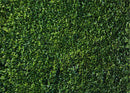 7x5FT Soft Fabric/Polyester Nature Spring 3D Green Leaves Theme Photo Background Wedding Birthday Party
