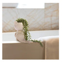 FROZZUR 1 Fish Shaped Beauty Flower Pot | Kids Mermaid Flower Pot | Cute Painting Pot For Succulent Plants With Drainage Hole