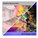 GenCrafts | Poured Neon Acrylic Paint | Set Of 12 Fluorescent Colors