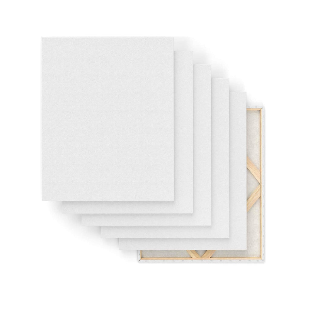 FIXSMITH Stretched White Blank Canvas- 8x10 Inch,Bulk Pack of  12,Primed,100% Cotton,5/8 Inch Profile of Super Value Pack for  Acrylics,Oils & Other