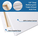 FIXSMITH Stretched White Blank Canvas- 8x10 Inch | Bulk Pack of 12,Primed,100% Cotton | 5/8 Inch Profile of Super Value Pack