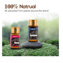 Essential Oil Set | 100% natural essential oils | Perfect For Make candle or soap | 30x5ml |0.17fl.Oz