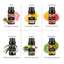 Homkare Aromatic Oil To Make Soap | 100% Pure Essential Oils | Scented Oils To Make Bath Bombs or candle | Every 10ml/0.33oz