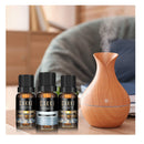 Winter Essential Oils for Home Diffusers and Soap, candle | CAKKI Fragrance Oil Gift Set 6x10ml
