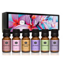 P&J Commercial Fragrance Oil | Set Of 6 For Ladies | Scented Oil To Make Soap | And Home Fragrance