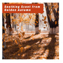 Fragrance Oil | ESSLUX Autumn Fragrance Oil Set | Scents To Make Soap And Candles | Essential Oil Gift Set for Home Diffuser