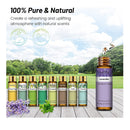 PHATOIL Gift Set Of 9 Essential Oils | 10 ml/0.33 fl.oz Scented Oils For Soap | Candle Making