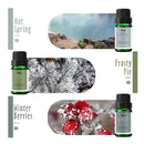 Fragrance Oil | MitFlor Winter Essential Oils For Diffuser | Scents To Make Soap And Candles