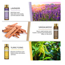 PHATOIL Gift Set Of 9 Essential Oils | 10 ml/0.33 fl.oz Scented Oils For Soap | Candle Making