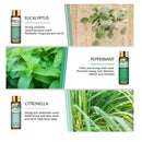 PHATOIL Gift Set Of 9 Essential Oils | 10 ml/0.33 fl.oz Scented Oils For Soap | Candle Making