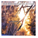 Fragrance Oil | MitFlor Winter Essential Oils For Diffuser | Scents To Make Soap And Candles