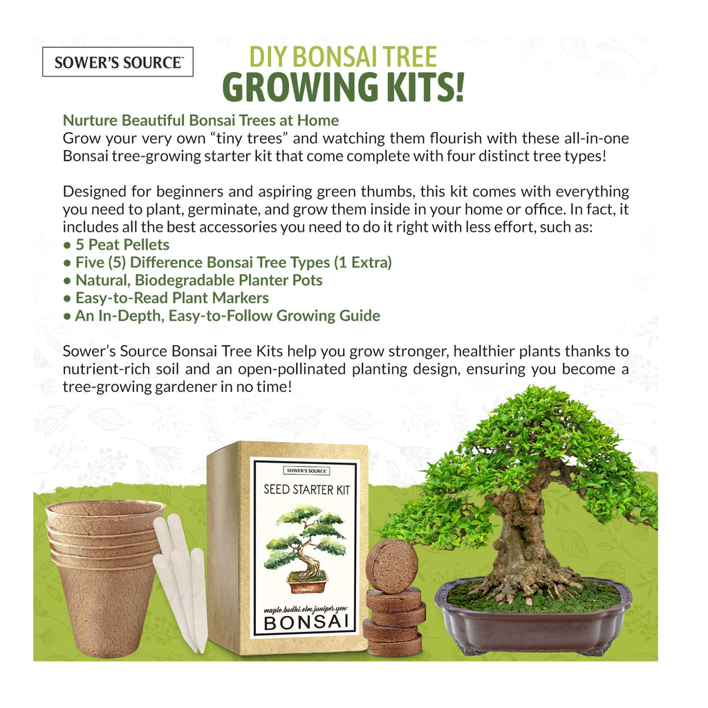 Bonsai Tree Seed Starter Kit Grow 4 Bonsai Trees From Seeds. All-in-one  Indoor / Outdoor DIY Beginner Grow Kit for Men & Women 