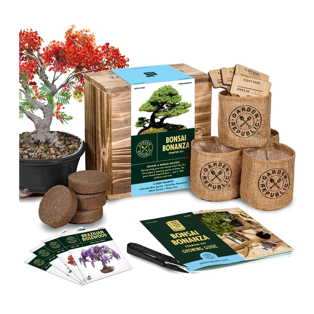 home grown bonsai tree kit Bonsai Tree Seed Starter Kit | Mini Bonsai Plant Growing Kit