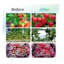 Grow Lights for Indoor Plants | LED Full Spectrum Plant Light with Stand