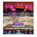 LEOTER Grow Light for Indoor Plants | Upgraded Version 80 LED Lamps with Full Spectrum & Red Blue Spectrum