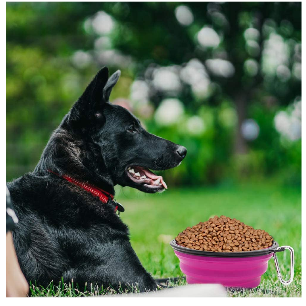 http://freshsshoe.com/cdn/shop/products/SLSONCollapsibleDogBowl-2PackCollapsibleWaterBowlsforDogsandCats_2_1024x.png?v=1655940468