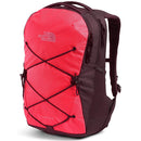 TheNorthFaceWomen_sJesterBackpack-ParadisePink.RootBrown2.jpg