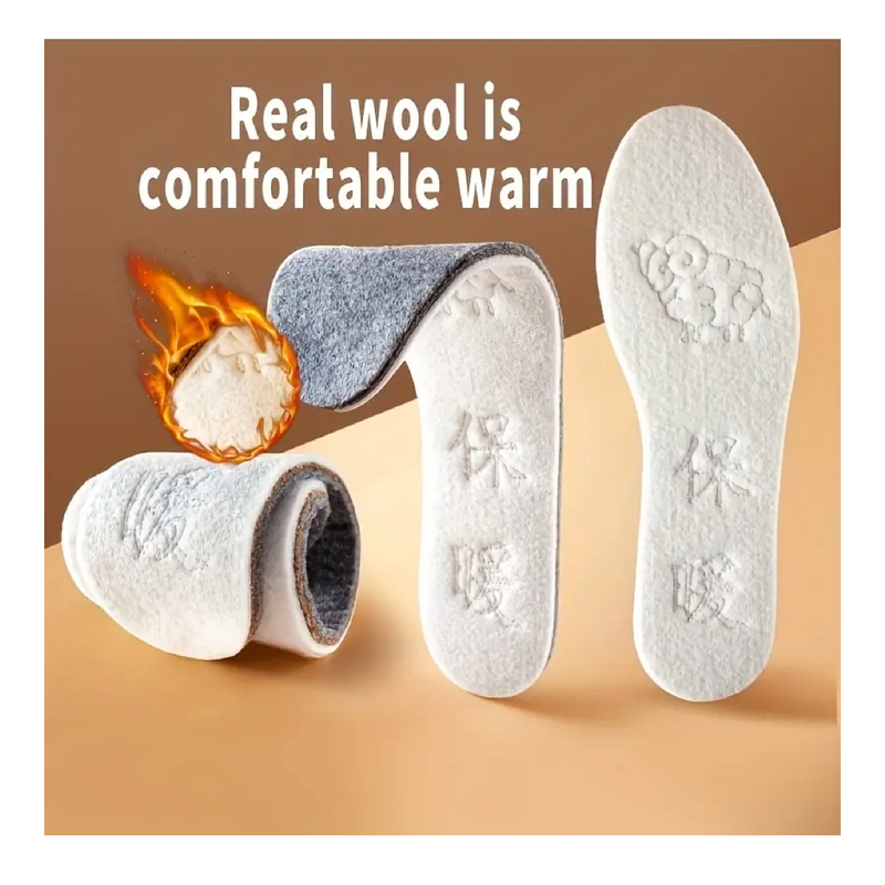 1pair Men Women Sole Summer Cool Waterproof Wool Shoe Pads, Felt Aluminum Foil Insoles, For Winter Warm Comfortable Deodorant Insert