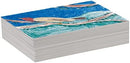Pacon Standard Weight Drawing Paper, White, 9" x 12", 500 Sheets — 4