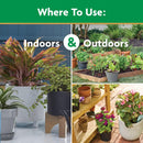 Miracle-Gro Water Soluble All Purpose Plant Food, Fertilizer for Indoor or Outdoor Flowers, Vegetables or Trees