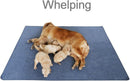Peepeego Non-Slip Dog Pad 72"x72", Washable Pee Pad Waterproof for Training, Whelping — 4