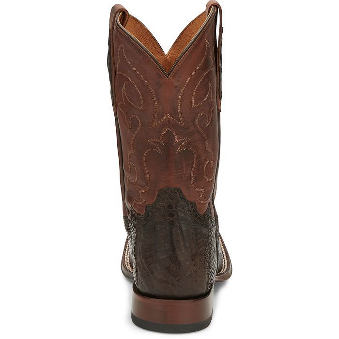 Tony Lama Mens Canyon Caiman Belly Tail 11" | Style TL5251 Color Brown