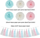 Gender Reveal Decorations Blue Pink - 23pcs Tissue Paper Flowers Pom Poms Banner Tassel Garland Streamers Baby Gender Reveal Theme Decor White Birthday Hanging Decor Ideas Supplies | Blue Pink White — 2