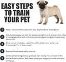 BV Puppy Pads Leak-Proof 100 Count 22"x 22" - Absorbent Pee Pads for Dogs with…