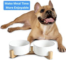 Ceramic Cat and Small Dog Bowl Set – Modern Indoor Small Size Pet Food and Water Bowls with Wood Stand – Non Slip Puppy Sized Feeding Station with Double Dishes (White) — 6