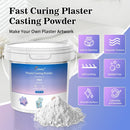 Plaster Casting Powder 1000G/35 OZ, Water Activated Fast Curing Plaster Casting Powder, 20-30 Minutes Demold, Easy… — 2