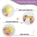 Pastel Balloons 12 Inch Rainbow Maca Pink Blue Purple Green Yellow Balloon | 30PC — 4