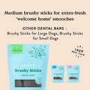 Bocce's Bakery Brushy Sticks Dog Dental Treats, Medium Breeds (13 oz)