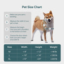 Baboni Dog Door for Door,3-Flap,Durable Plastic Frame,Large — 3