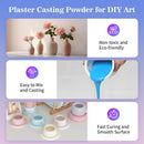 Plaster Casting Powder 1000G/35 OZ, Water Activated Fast Curing Plaster Casting Powder, 20-30 Minutes Demold, Easy… — 3