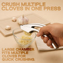 Gourmet Easy Garlic Press Lifetime Replacement, No Need to Peel, Fine Mince — 7