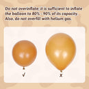 12inch Western Balloons with Brown Nude Gold Confetti Cow Latex Balloons — 4