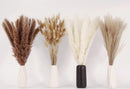 Dried Pampas Grass Decor, 100 Stems Pampas Grass Contains Bunny Tails Dried Flowers, Reed Grass Bouquet for Wedding Boho Flowers Home Table Decor, Rustic Farmhouse Party (17", White and Brown) | 100PCS — 3