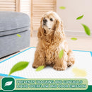 IMMCUTE Puppy Pads 22"x23" 100 Count