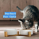 Ceramic Cat and Small Dog Bowl Set – Modern Indoor Small Size Pet Food and Water Bowls with Wood Stand – Non Slip Puppy Sized Feeding Station with Double Dishes (White) — 5