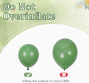 60pcs 12inch Sage Green Balloons with Sand White Gold Confetti Balloons | Green Sand White — 5