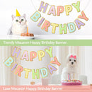 Pre-Strung Happy Birthday Banner - Pastel Macaron Party Decorations — 6