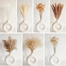 Dried Pampas Grass Decor, 128PCS Pampas Grass with Bunny Tails Dried Flowers, Reed Grass Bouquet for Wedding, Boho Flowers, Home Table Decor, Rustic Farmhouse Party — 3