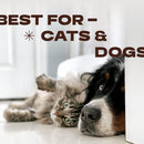 Cordless Pet Grooming Kit for Dogs & Cats, Quiet & Powerful Motor Paw & Face…