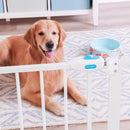 Carlson 29.5–36.5” Extra Wide Dog Gate with Small Pet Door, Walk-Through…