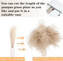 Dried Pampas Grass Decor, 120 PCS Pampas Grass with Bunny Tails Dried Flowers, Reed Grass Bouquet for Wedding, Boho Flowers, Home Table Decor, Rustic Farmhouse Party (White and Brown) | 120PCS — 5
