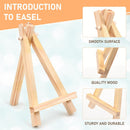 10 Pack Mini Canvas with Easel Set — 3