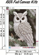 Owl Diamond Art Painting Kits for Adults,Animals Birds Pearl Painting Kits | HL6670 — 6