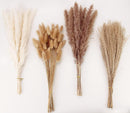 Dried Pampas Grass Decor, 100 Stems Pampas Grass Contains Bunny Tails Dried Flowers, Reed Grass Bouquet for Wedding Boho Flowers Home Table Decor, Rustic Farmhouse Party (17", White and Brown) | 100PCS — 1